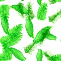 White Tropical Botanical. Organic Seamless Leaves. Green Pattern Botanical. Natural Drawing Background. Banana Leaf. Spring Palm. Royalty Free Stock Photo
