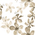 White Tropical Illustration. Gray Seamless Textile. Pattern Exotic. Flower Texture. Floral Background. Flora Illustration. Royalty Free Stock Photo