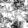 White Tropical Set. Black Exotic Leaves. Hibiscus Jungle. Seamless Foliage. Pattern Backdrop. Watercolor Foliage. Summer Print. Fl Royalty Free Stock Photo