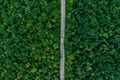 White truck drives on an asphalt road through a green forest.