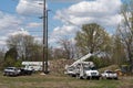 White Trucks at Replacement of Utility Pole Site