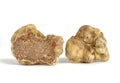 White truffle Royalty Free Stock Photo