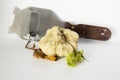 White Truffle on white background with truffle slicer Royalty Free Stock Photo