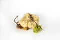 White Truffle Still Life on white background with leafs Royalty Free Stock Photo