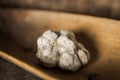 White Truffle on wood background Royalty Free Stock Photo