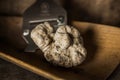 White Truffle on wood background with Truffle Slicer Royalty Free Stock Photo