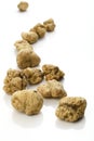 WHITE TRUFFLES