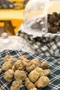 White truffles Royalty Free Stock Photo