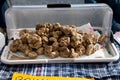 White truffles on display for sale on the farmers market in