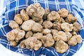 White truffles Royalty Free Stock Photo