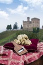 White truffles from Piedmont Italy Royalty Free Stock Photo