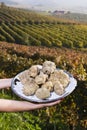 White truffles from Piedmont on the tray in the background hills Royalty Free Stock Photo
