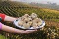 White truffles from Piedmont on the tray in the background hills Royalty Free Stock Photo