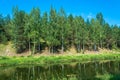 White trunks of birches are reflected in water.