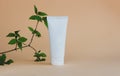 A white tube of cream, scrub or lotion stands on a beige background under green leaves. Natural eco-friendly cosmetics Royalty Free Stock Photo