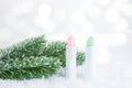 A white tube of pink and green aloe lipstick balm to protect and nourish lips. Winter season cosmetics. Mock up container on bokeh