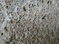 White tuff wall texture of the building Royalty Free Stock Photo