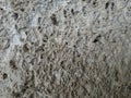 a white tuff wall texture Royalty Free Stock Photo