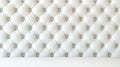 A white tufted headboard. Royalty Free Stock Photo