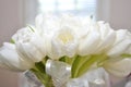 White tulip bouquet in white room