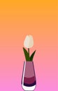 White tulip in colorful vase