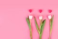 White tulip flower with hearts, side view. Beautiful tulip with leaves on pink background.