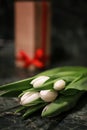 White tulip gift box green background Royalty Free Stock Photo