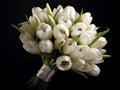 White tulip beauty wedding bouquet flower for special people on best moment day Royalty Free Stock Photo