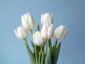 White tulip beauty wedding bouquet flower for special people on best moment day Royalty Free Stock Photo