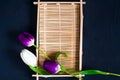 White tulip on a wooden tray for sushi on a blue background of concrete, top view, space for textn