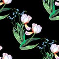 White tulips on bleck background. Seamless pattern.