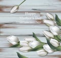 White tulips card Vector realistic. Happy mother day. Spring backgrounds Royalty Free Stock Photo