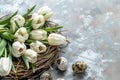 white tulips with colorful quail eegs Royalty Free Stock Photo