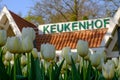 White tulips in front of the Keukenhof sign at Keukenhof Gardens, Lisse, South Holland