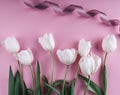 White tulips flowers over light pink background. Greeting card or wedding invitation. Royalty Free Stock Photo