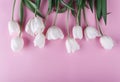 White tulips flowers over light pink background. Greeting card or wedding invitation. Royalty Free Stock Photo