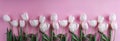 White tulips flowers over light pink background. Greeting card or wedding invitation Royalty Free Stock Photo