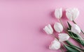 White tulips flowers over light pink background. Greeting card or wedding invitation. Royalty Free Stock Photo