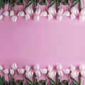 White tulips flowers over light pink background. Greeting card or wedding invitation.