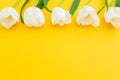 White tulips flowers on yellow background. Flat lay, top view. Floral frame background. Royalty Free Stock Photo