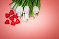White flowers tulips with red hearts on pink background