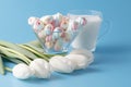 White tulips with twisted marshmalow Royalty Free Stock Photo