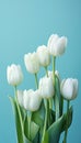 White Tulips Vase Table Profile Extra Crisp Pristine Design List