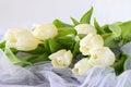 White tulips on a white light cloth. Wedding concept. Love. Royalty Free Stock Photo