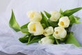 White tulips on a white light cloth. Wedding concept. Love. Royalty Free Stock Photo