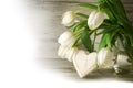 White tulips and a wooden heart shape against gray wood, corner Royalty Free Stock Photo