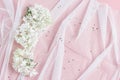 white tulle and beautiful hydrangea flowers. pink table background. feminine wedding, birthday floral concept. Royalty Free Stock Photo