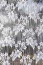 White tulle with embroidered flowers