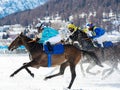 White Turf race - Switzerland Royalty Free Stock Photo