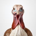 Emotionally Charged Portrait Of A Large Turkey On A Neutral Background